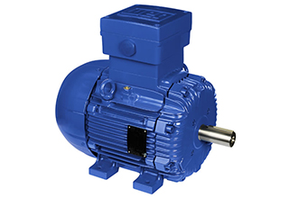 WEG explosion-proof motor