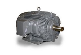 TECO Max NP motor